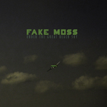 Fake Moss - Under the great black sky CD.